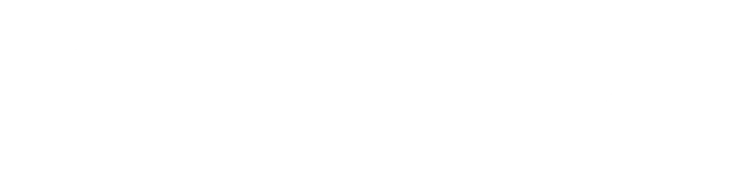 CantorWeb, Inc. — Home
