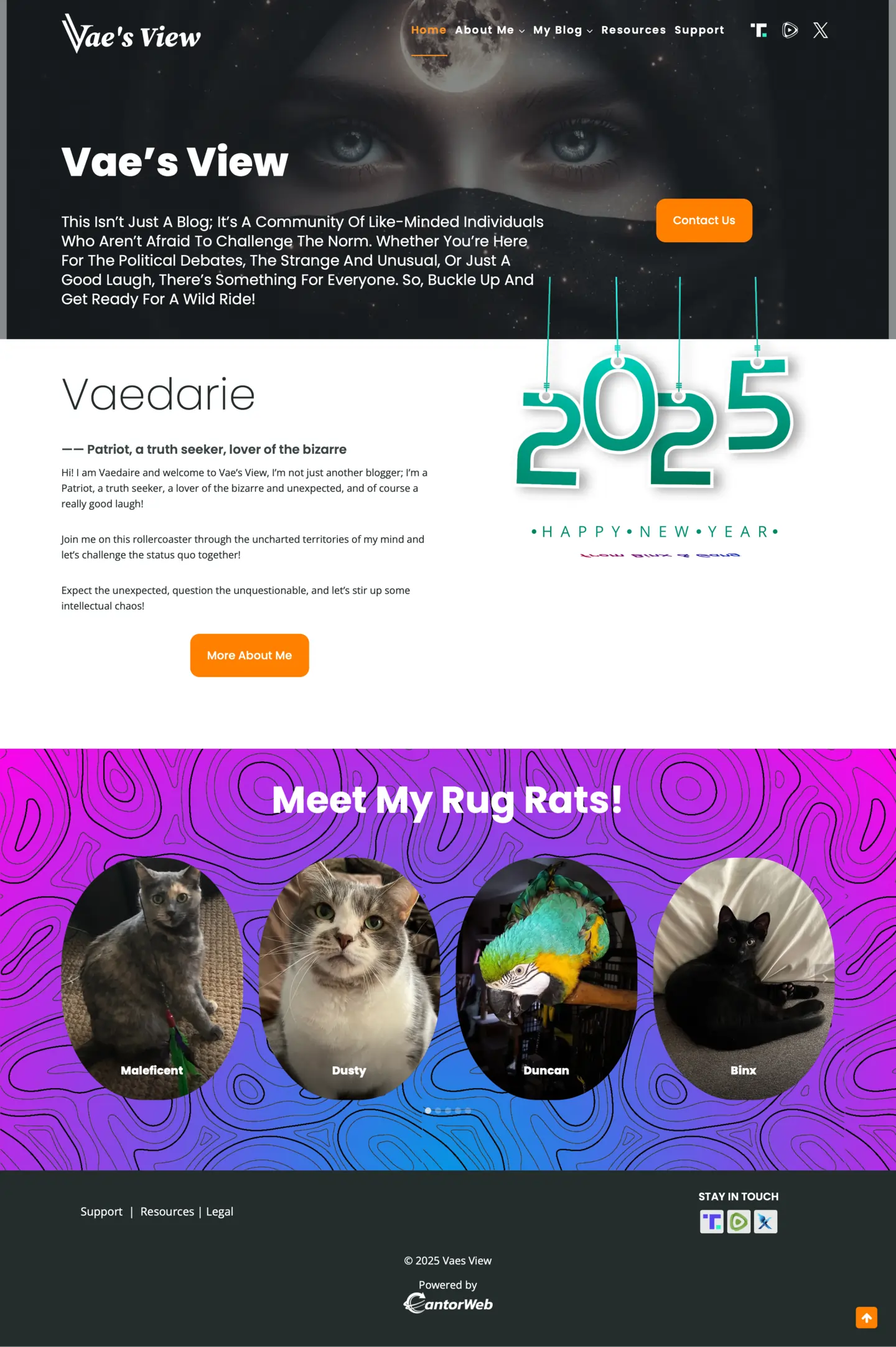 Vaes View client website